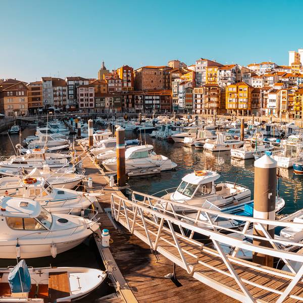 Snorkel con tiburones en el cantábrico