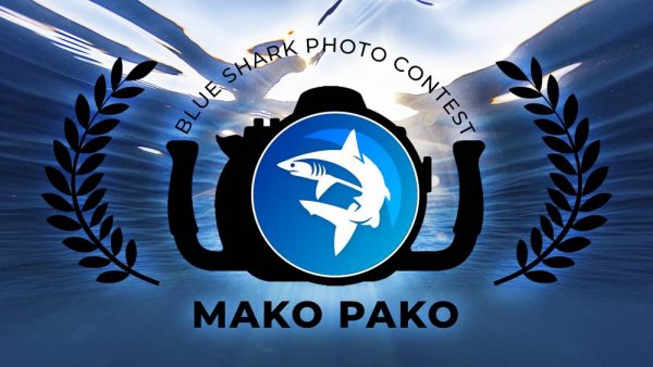 Concurso de fotografía Mako Pako Concurso de fotografía Mako Pako