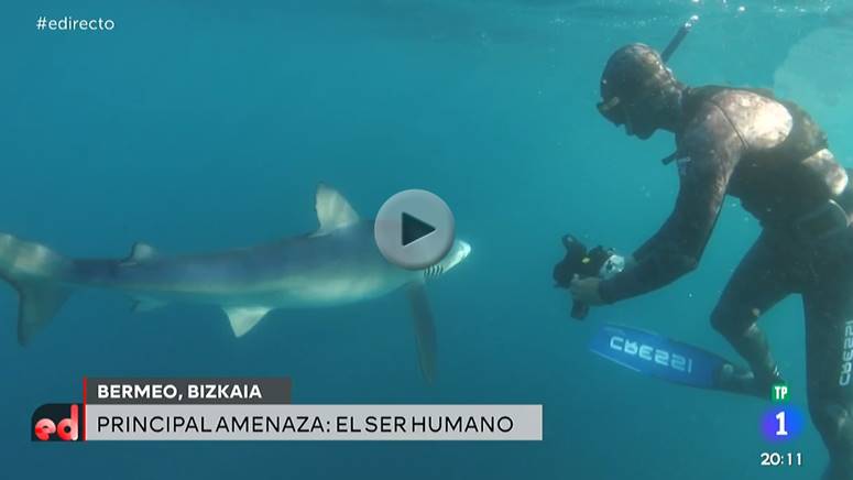 España Directo - Televisión Española TVE