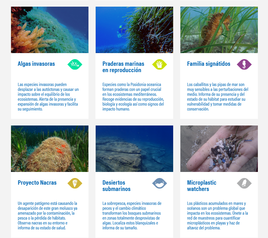 Observadores del mar