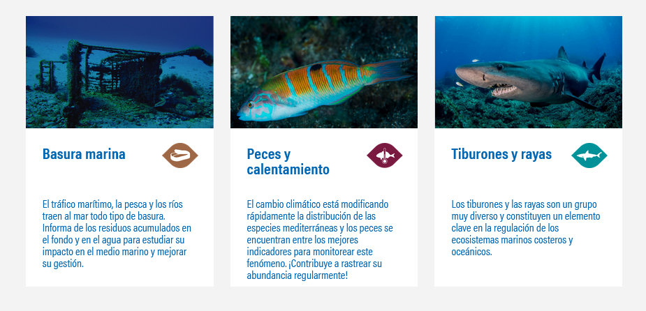 Observadores del mar