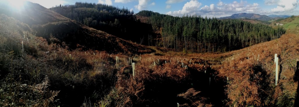 Sin título-5 (Copiar) Fundación Lurgaia