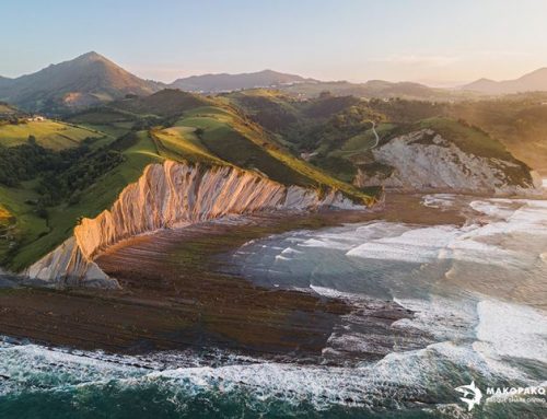 Estrenamos nueva actividad: Paseos pelágicos