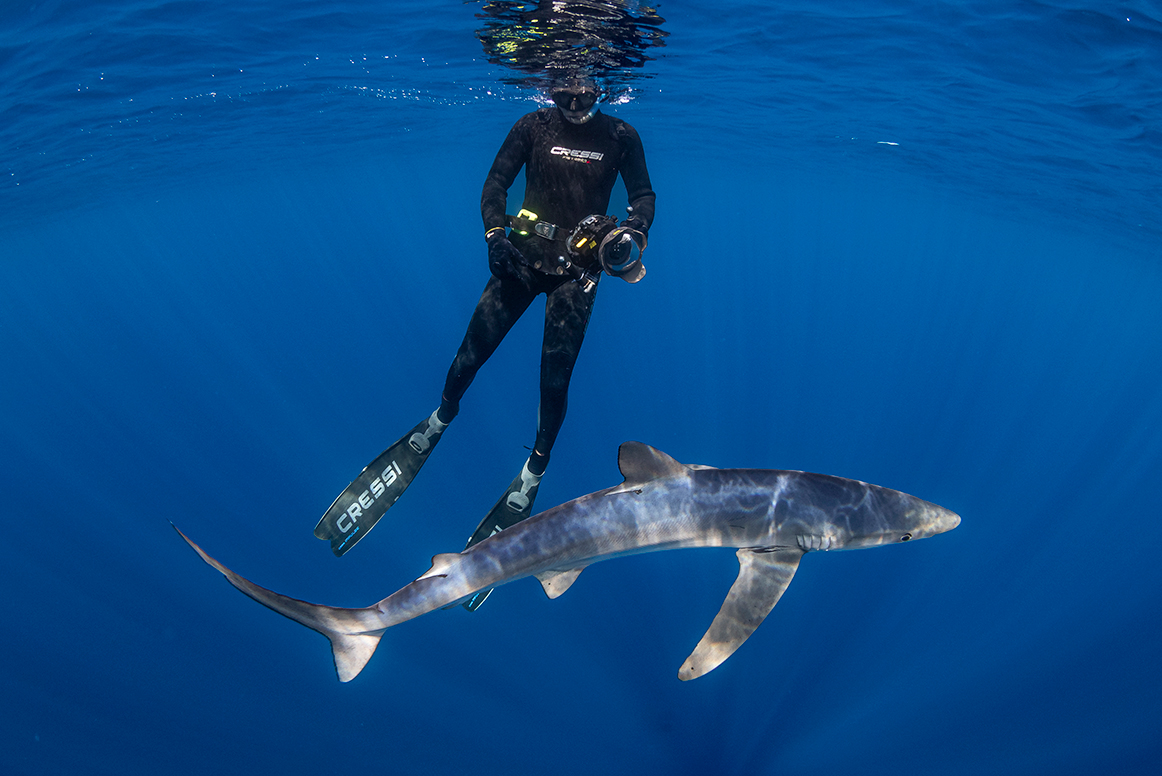 Temporada 2025 Mako Pako Temporada 2025 Mako Pako