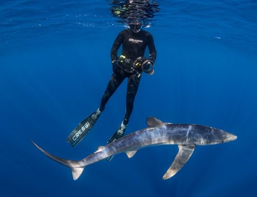 Comienza la temporada 2025